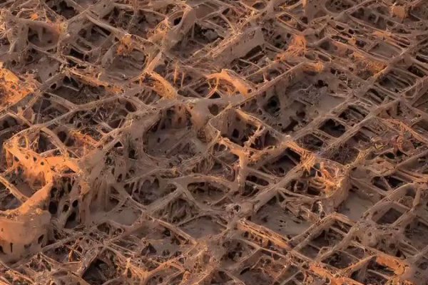 Где брать ссылки на кракен