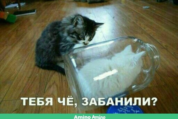 Кракен ссылка на тор официальная онион